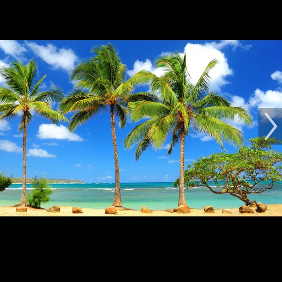 summervacation2